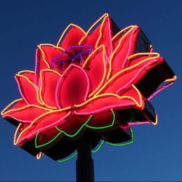 Meet the Posher ☔️🌼 - Picture 7 of 7